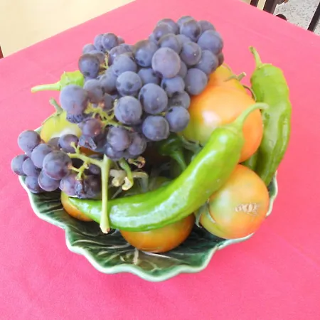 Anton Piche With Pool-adults Only Landhuis Granadilla De Abona