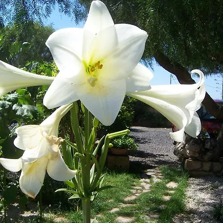 Anton Piche With Pool-adults Only Landhuis