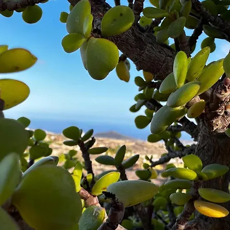 Anton Piche * Granadilla De Abona