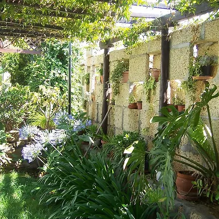 Anton Piche Casa rural Granadilla De Abona