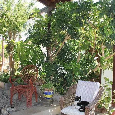 Anton Piche Casa rural Granadilla De Abona