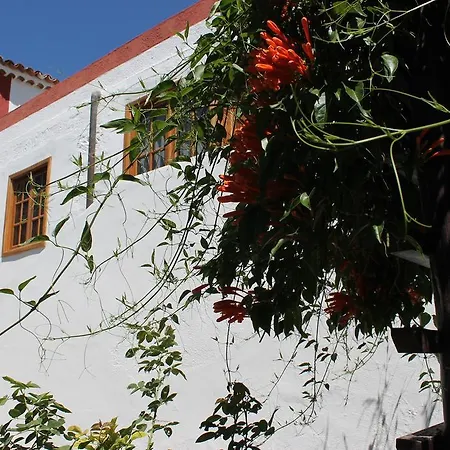 Anton Piche Granadilla De Abona
