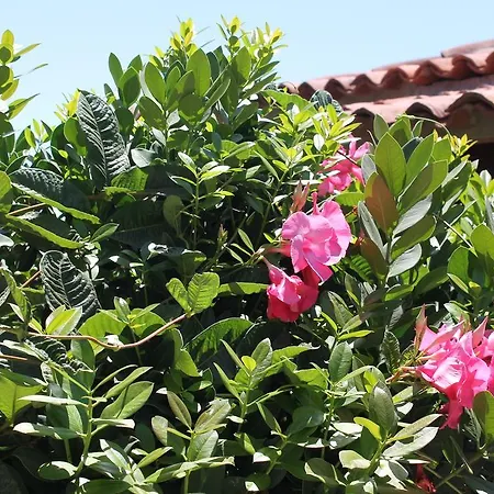 Anton Piche Casa rural Granadilla De Abona